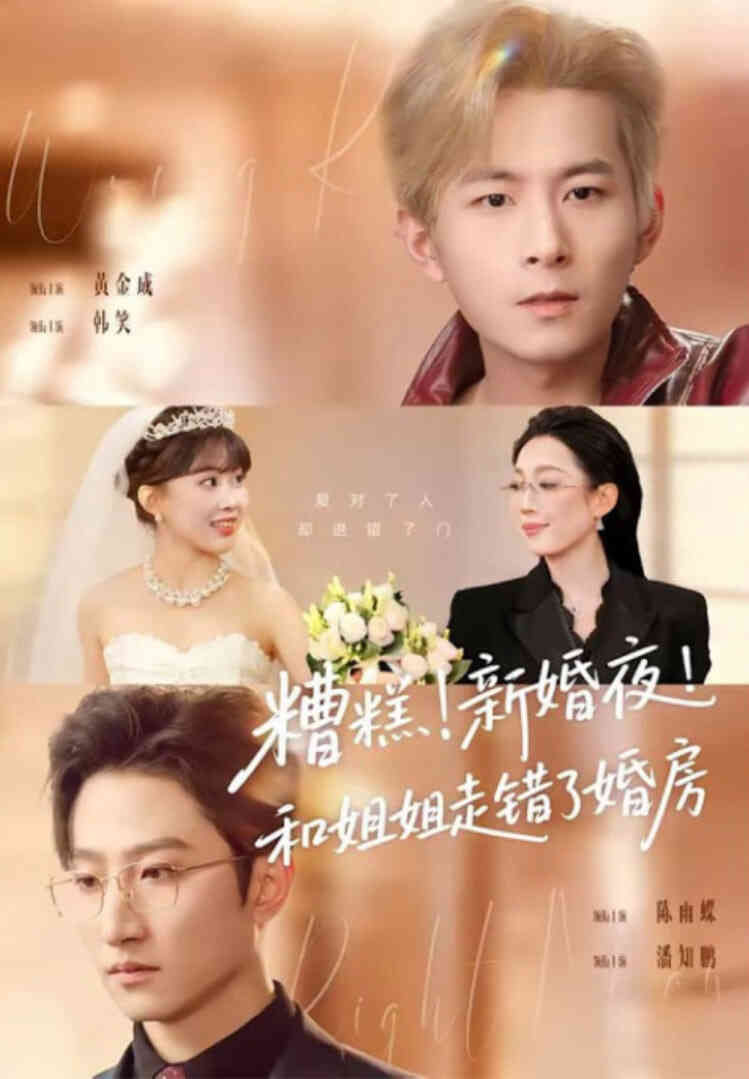 糟糕!新婚夜!和姐姐走错了婚房(糟糕新婚夜和姐姐走错了婚房)