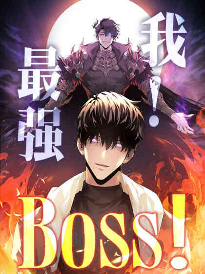 我,最强BOOS