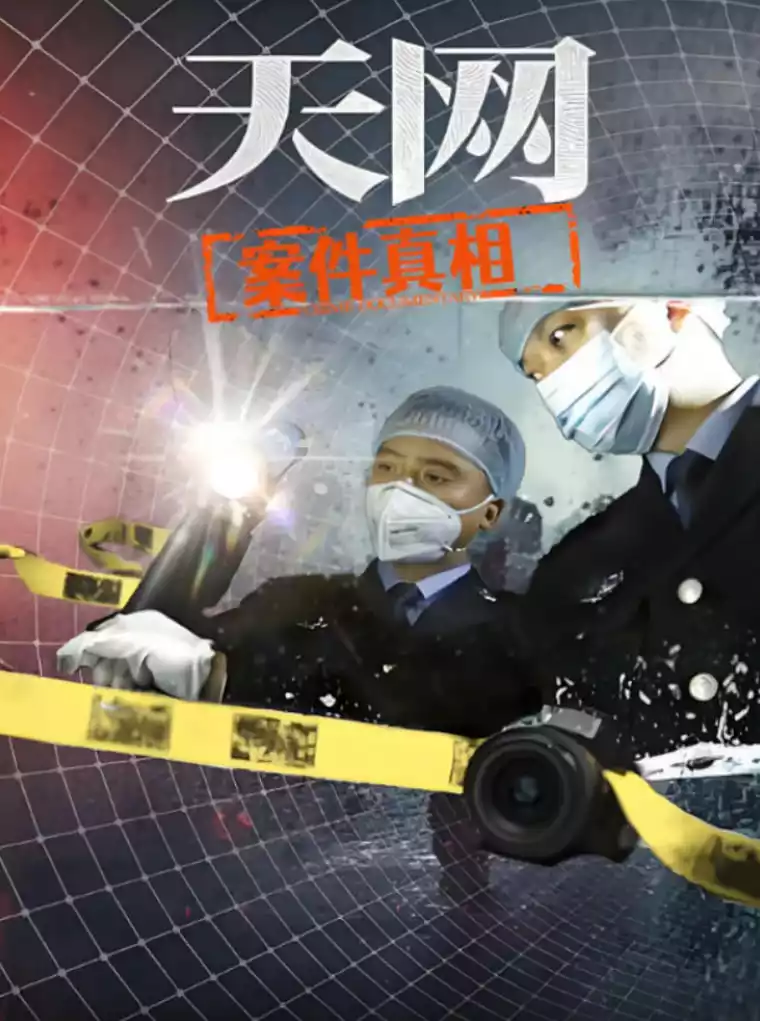天网:案件真相