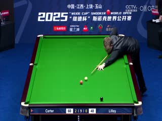 斯诺克玉山世界公开赛16进8 大卫·利利1-5阿里·卡特 20250226