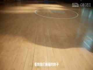 WCBA常规赛 大庆安瑞达VS陕西天泽 20240225 (常识)
