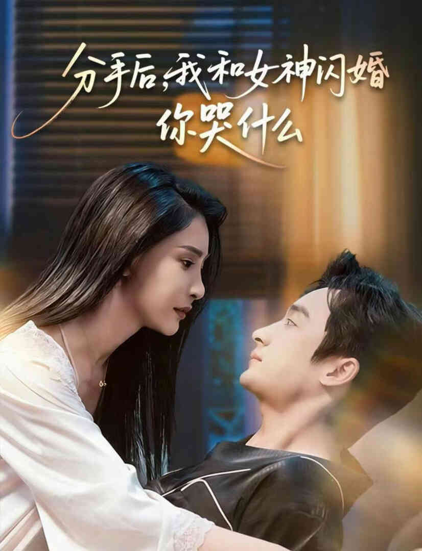 分手后,我和女神闪婚你哭什么(悲欢离合总无情)