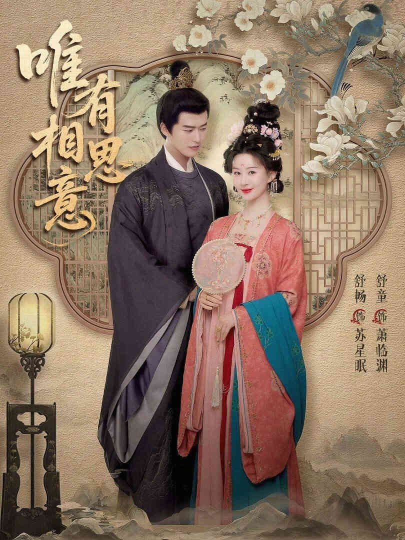 唯有相思意